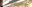 Internal Header